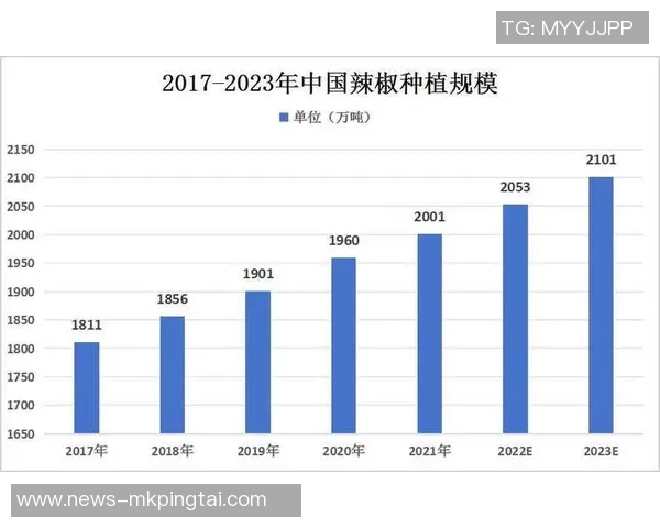 2026年3月份新闻成都排球队阵地战革新探索与实践的全景分析与展望